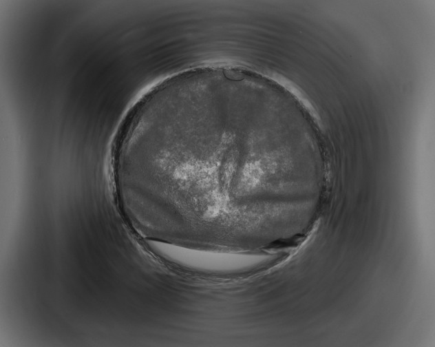 X0000086761022200705111711