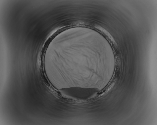 X0000086761023200705111711