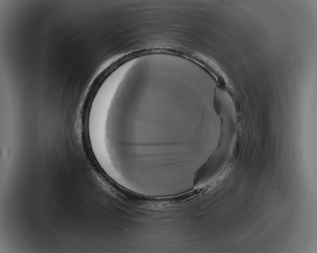 X0000086761024200705111711