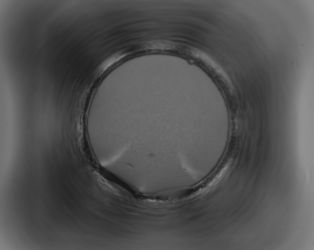 X0000086761025200705111711