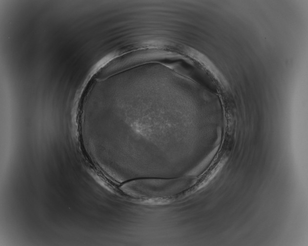 X0000086761026200705111711