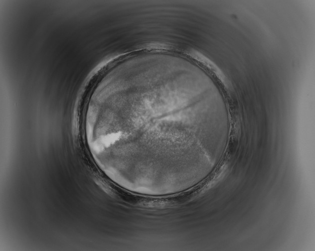 X0000086761027200705111711