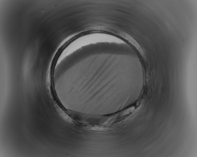 X0000086761028200705111711