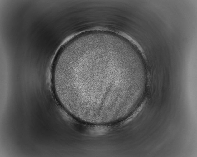 X0000086761029200705111711