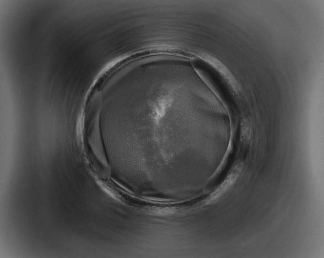 X0000086761030200705111711