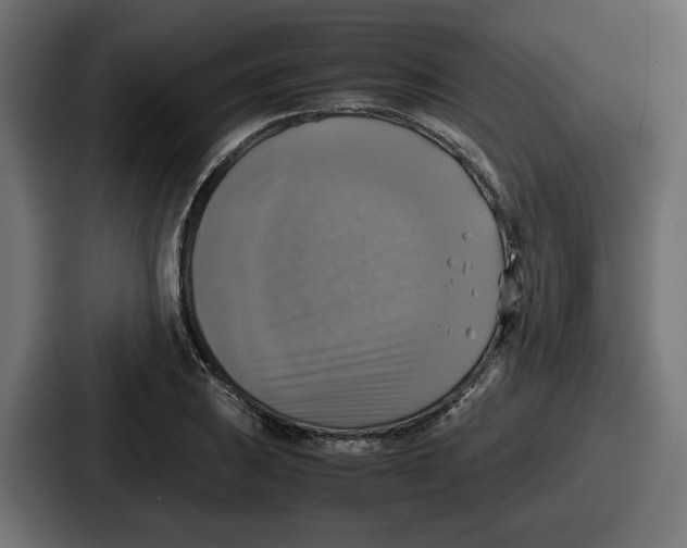 X0000086761031200705111711