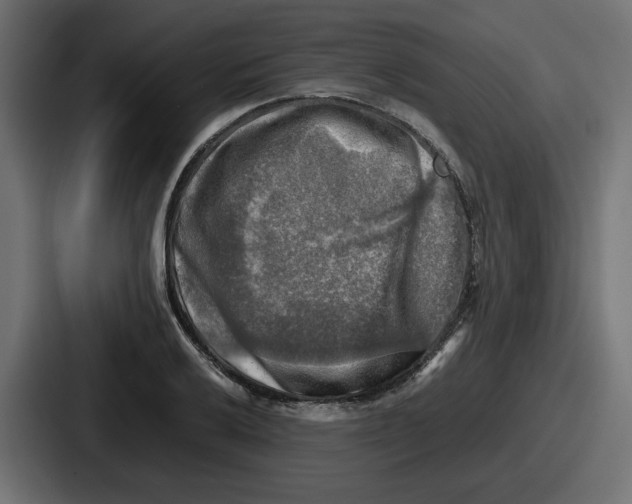 X0000086761032200705111711