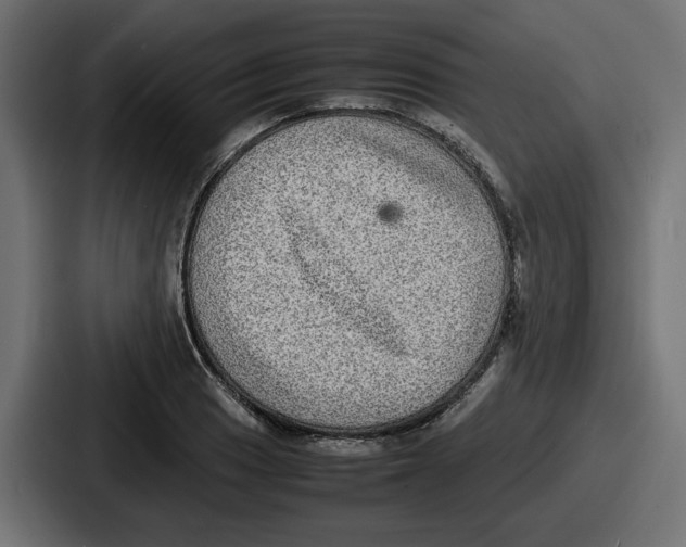 X0000086761033200705111711