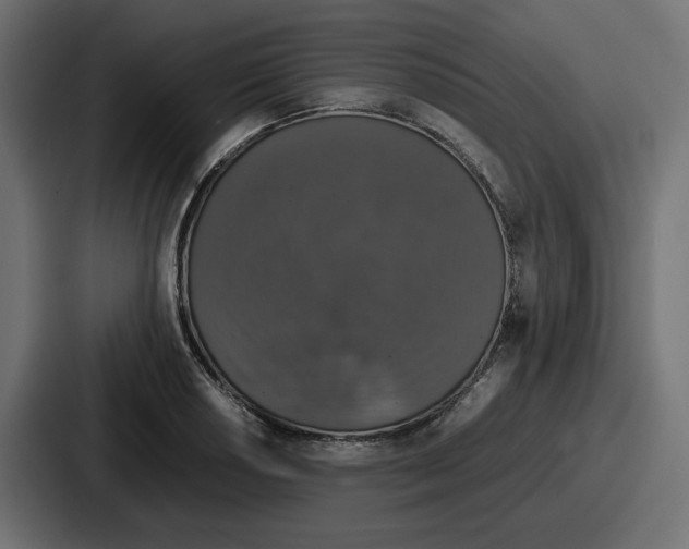 X0000086761034200705111711