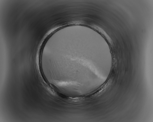 X0000086761035200705111711