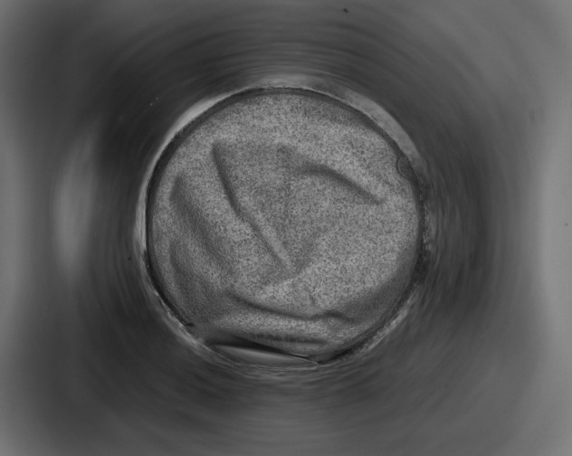 X0000086761036200705111711