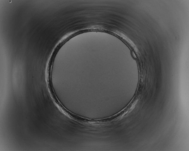 X0000086761037200705111711