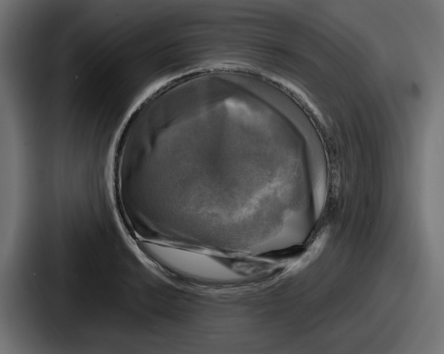 X0000086761038200705111711