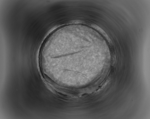 X0000086761039200705111711