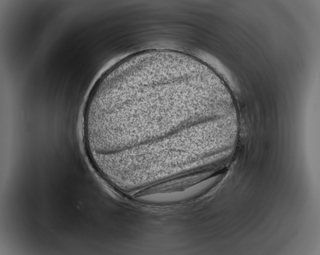 X0000086761040200705111711