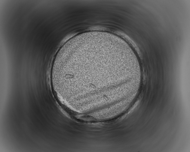 X0000086761041200705111711