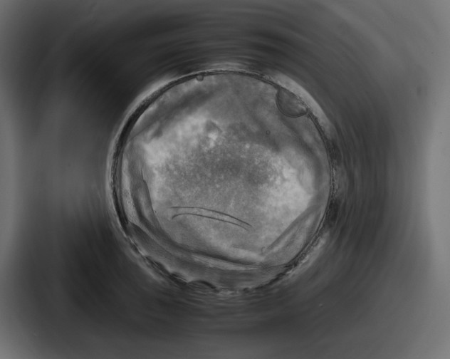 X0000086761043200705111711