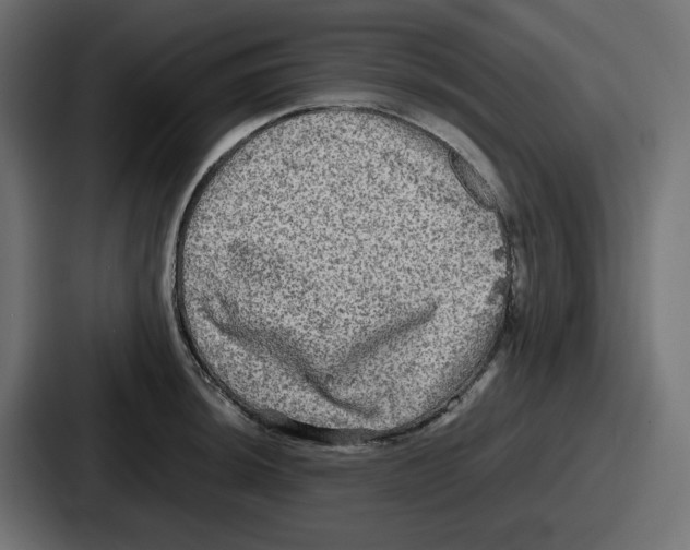 X0000086761044200705111711