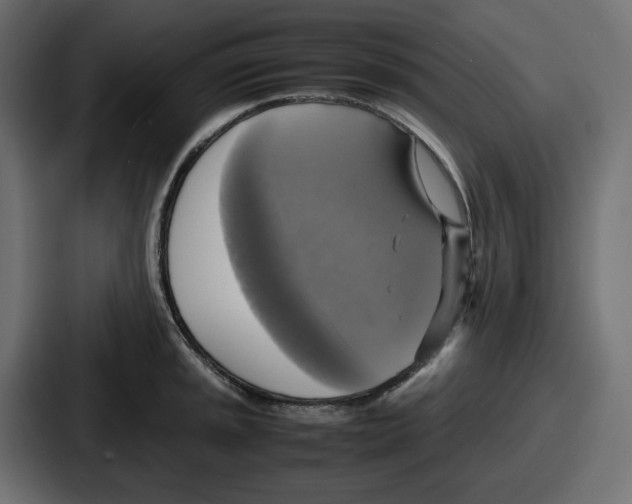 X0000086761045200705111711