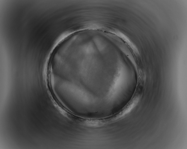 X0000086761046200705111711