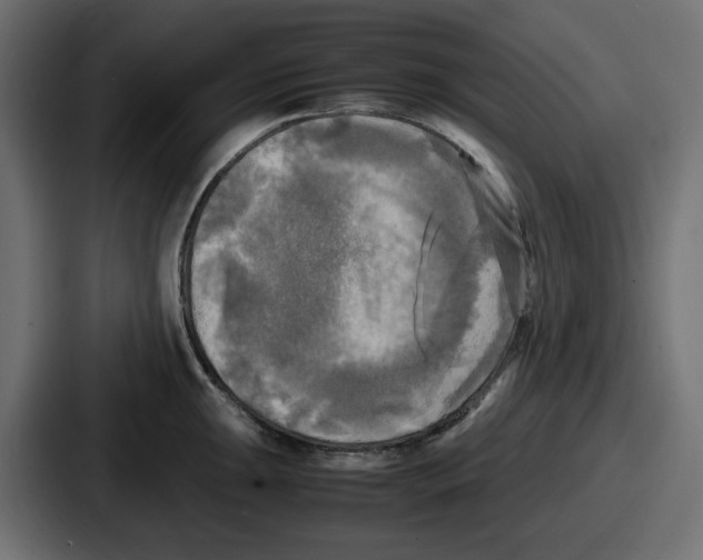 X0000086761047200705111711