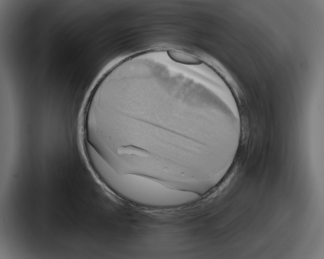 X0000086761048200705111711