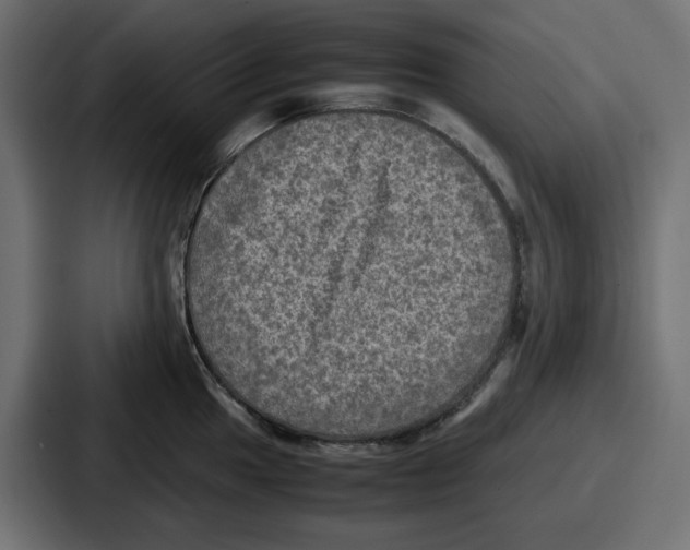 X0000086761049200705111711