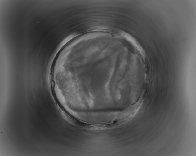 X0000086761050200705111711