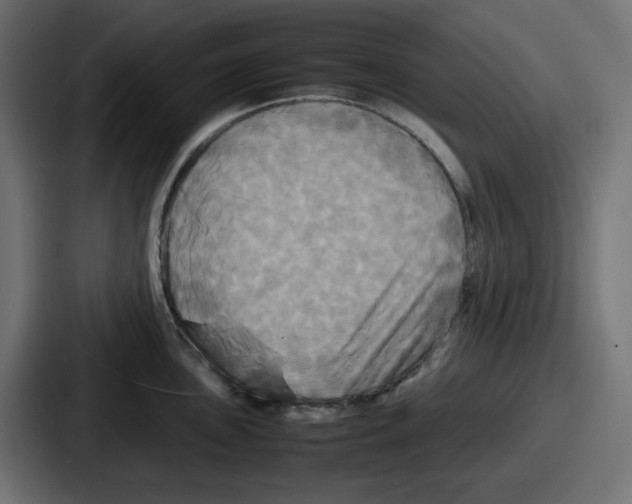 X0000086761051200705111711