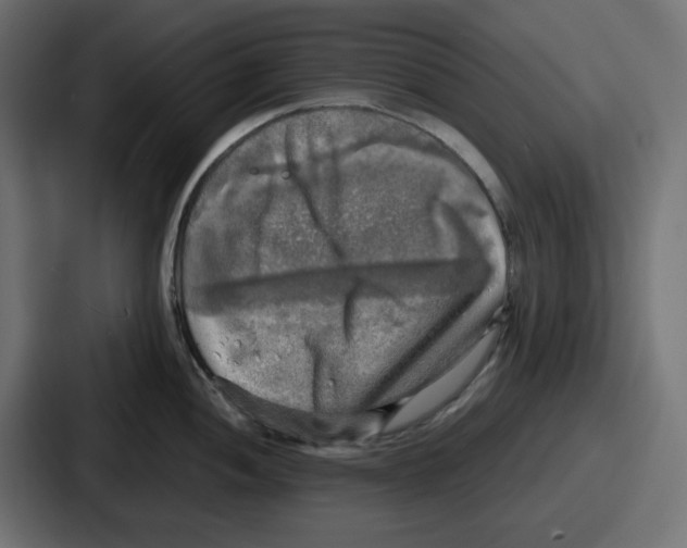 X0000086761052200705111711