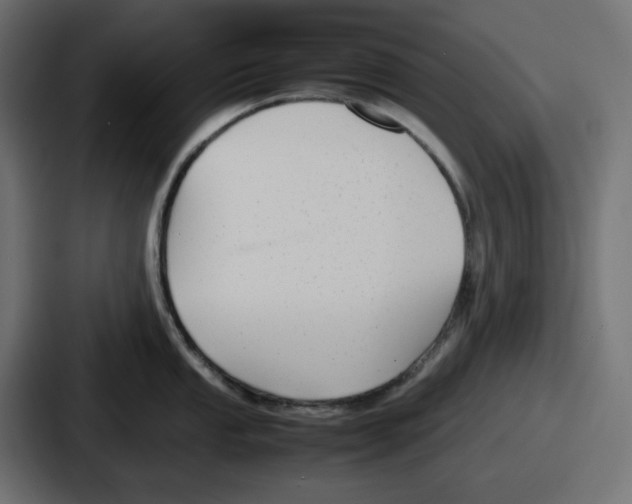 X0000086761053200705111711