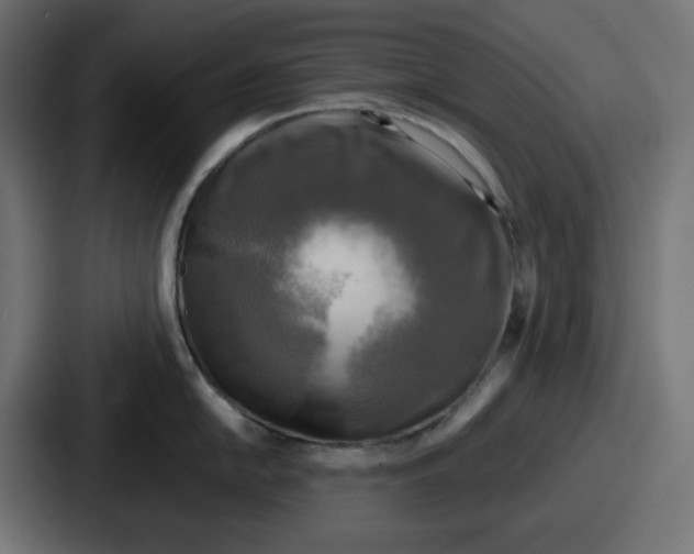 X0000086761054200705111711