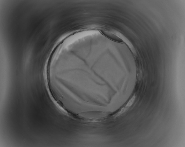 X0000086761055200705111711