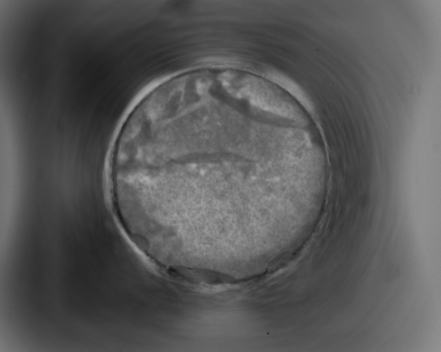 X0000086761056200705111711