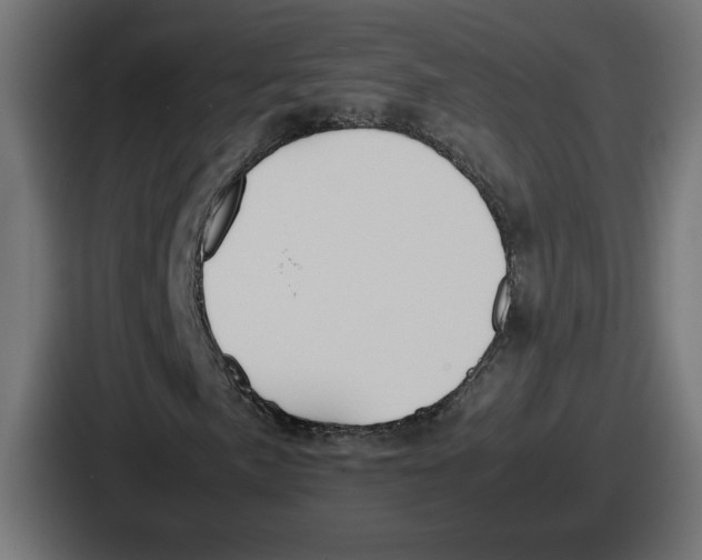 X0000086761057200705111710