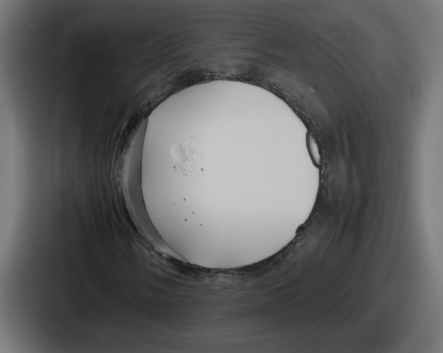 X0000086761058200705111710