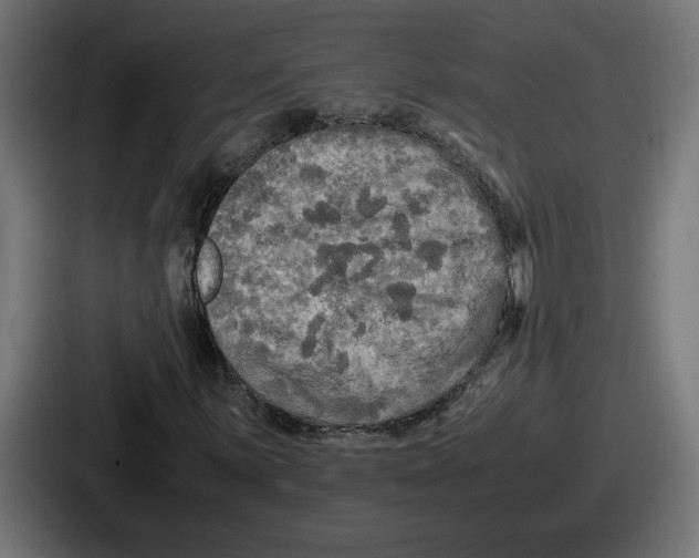 X0000086761059200705111710