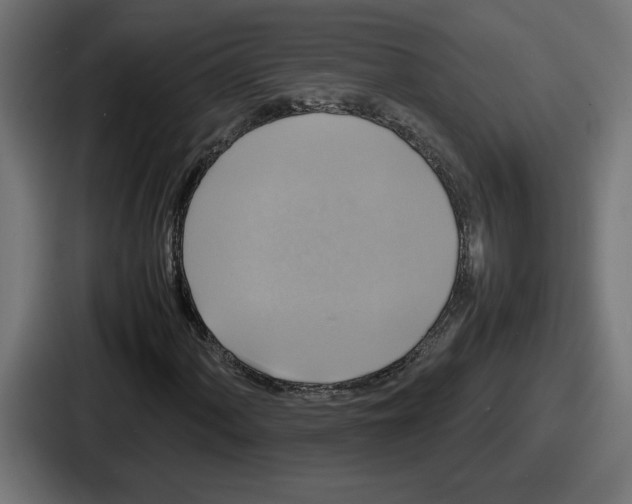 X0000086761060200705111710