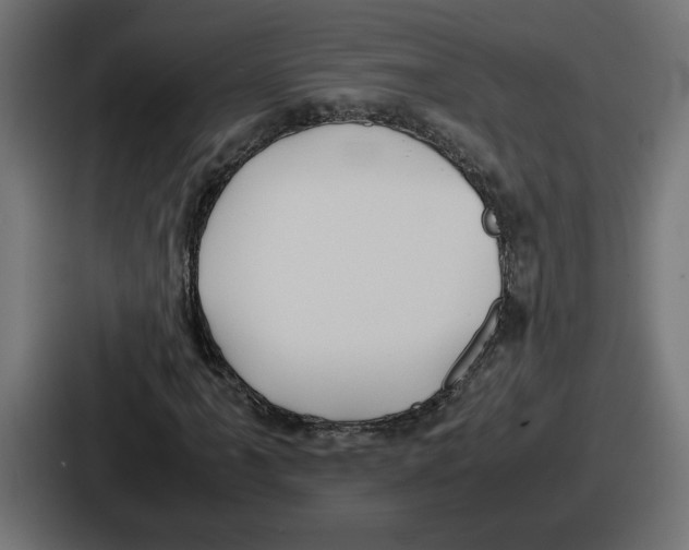 X0000086761061200705111710