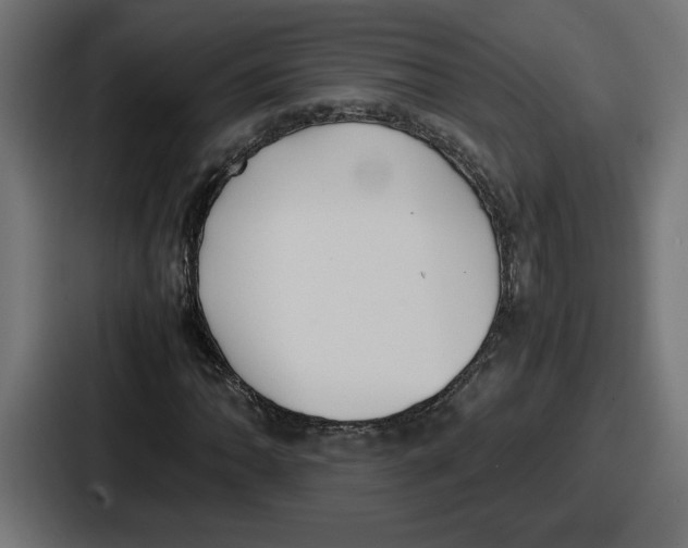 X0000086761062200705111710