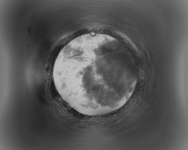 X0000086761063200705111710