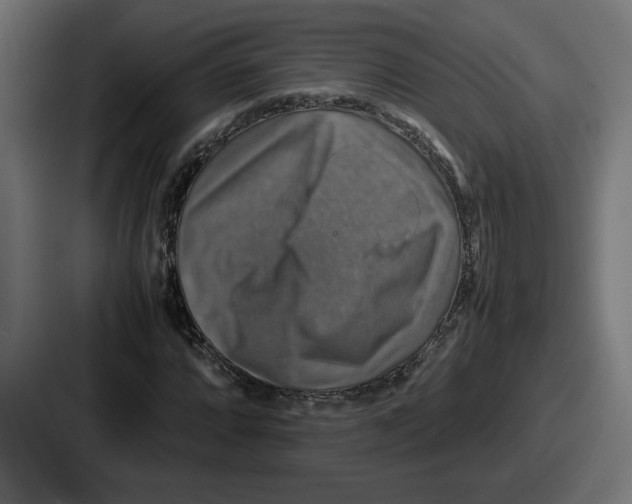 X0000086761064200705111710