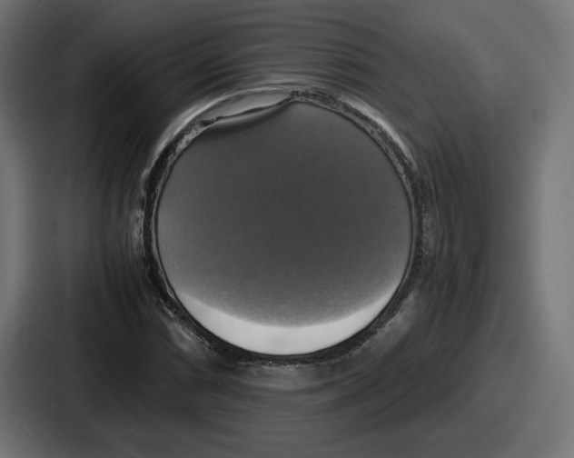 X0000086761066200705111710