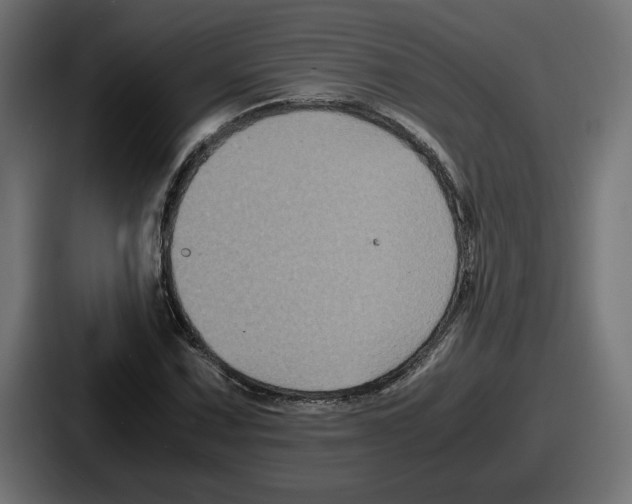 X0000086761067200705111710