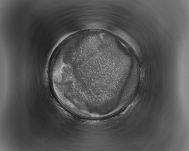 X0000086761068200705111710