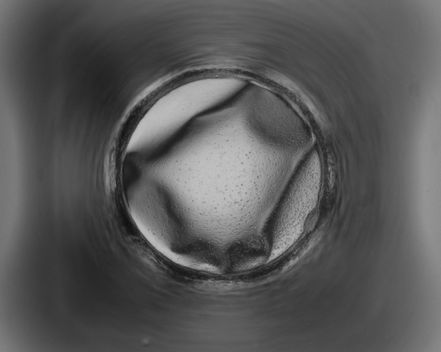 X0000086761069200705111710