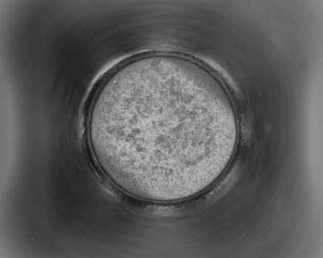 X0000086761070200705111710