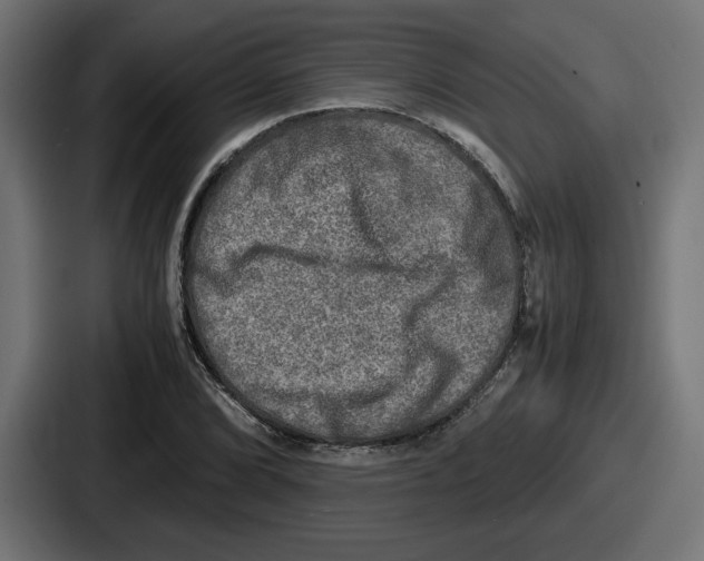 X0000086761072200705111710