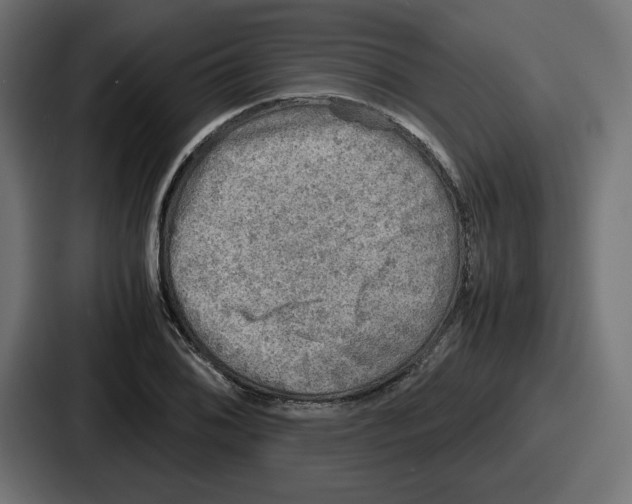 X0000086761076200705111710