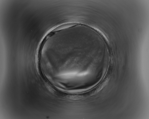 X0000086761077200705111710